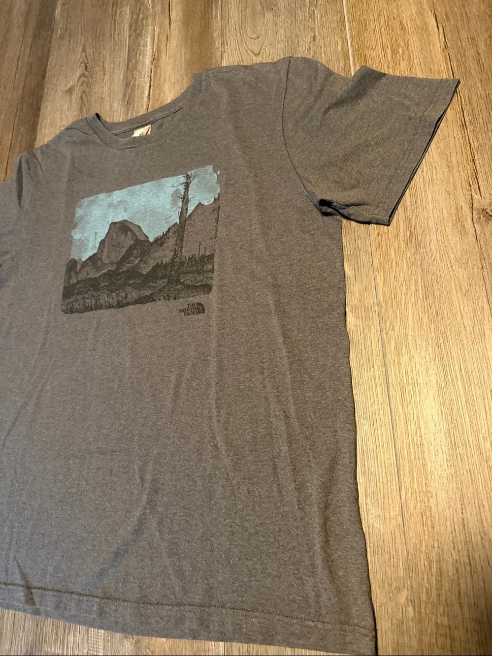 The North Face Men's Heather Gray Scenic Graphic Short-Sleeve Tee